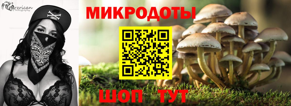Галлюциногенные грибы MAGIC MUSHROOMS  Галлюциногенные грибы Psilocybe  Каменка  Вход с VPN 
