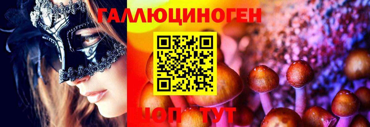 Галлюциногенные грибы прущие грибы Каменка